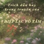 Trích Dẫn Hay Trong Truyện Của Diệp Lạc Vô Tâm