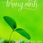 Bình An Trọng Sinh – Dư Phương (Chương 1~ 200)