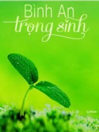 Ảnh bìa của Bình An Trọng Sinh – Dư Phương (Chương 201~ Hết)