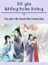 Ảnh bìa của Nô Gia Không Hoàn Lương (Cổ Đại)